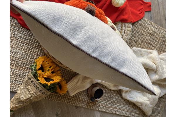 Balkabağı Kırlent Kılıfı